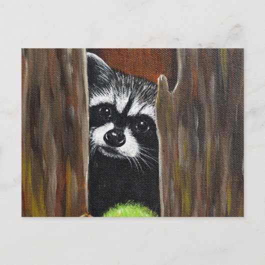 木の上のアライグマの絵 ポストカード (正面)