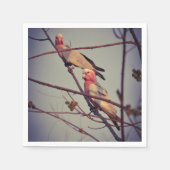 木の上のガラハ鳥 スタンダードカクテルナプキン (正面)