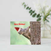 木の上のクリスマスリス シーズンポストカード (スタンド正面)