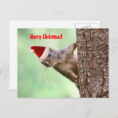 木の上のクリスマスリス シーズンポストカード (正面/裏面)