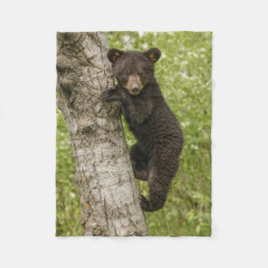 木の上のクロクマの子熊 フリースブランケット (正面)