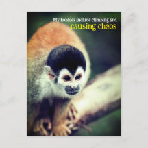 木の上のスリザーモンキー