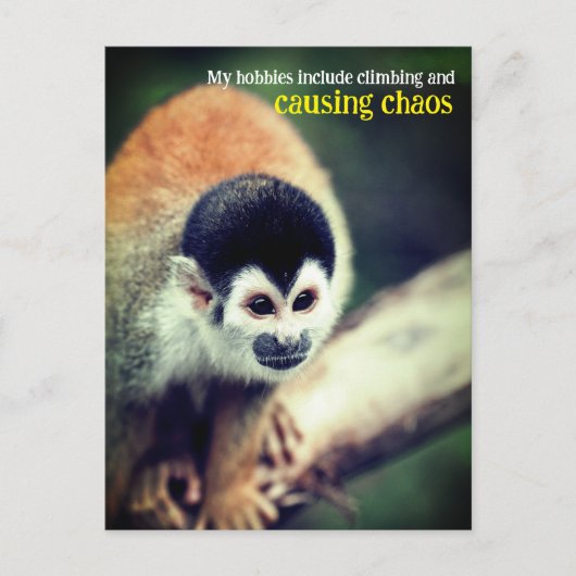 木の上のスリザーモンキー ポストカード (正面)