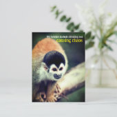 木の上のスリッカーサル ポストカード (スタンド正面)