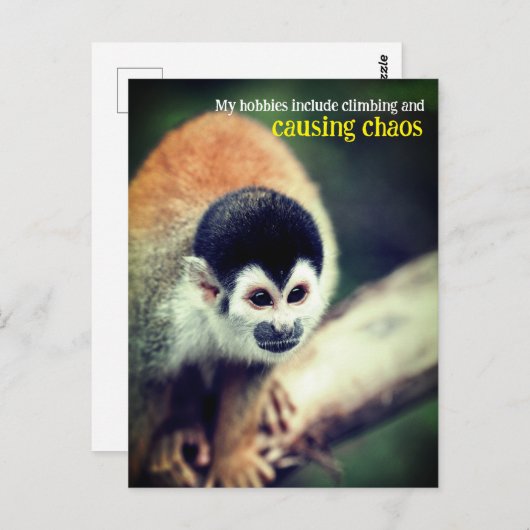 木の上のスリッカーサル ポストカード (正面/裏面)