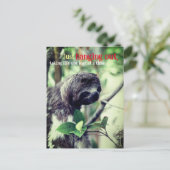 木の上のナマケモノの写真 ポストカード (スタンド正面)