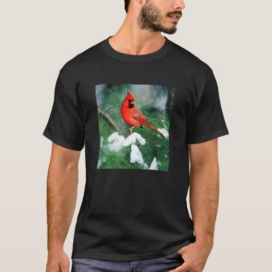木の上のノーザンカーディナル雄、イリノイ州 Tシャツ (正面)