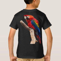 木の上のパロッツ