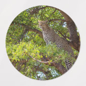 木の上のヒョウ ラベル (デザイン1)