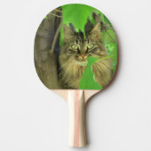 木の上のメインクーン 卓球ラケット (正面)