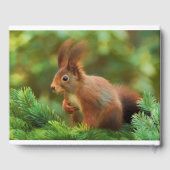 木の上のリス ゲストブック (裏面)