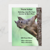 木の上のリス 招待状 (正面/裏面)
