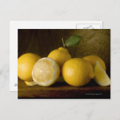 木の上のレモン ポストカード (正面/裏面)