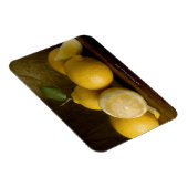 木の上のレモン マグネット (右側)