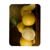 木の上のレモン マグネット (縦)