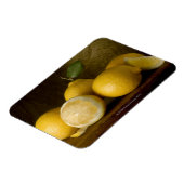 木の上のレモン マグネット (左側)