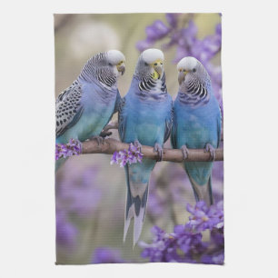 木の上の会話:ジャカランダの木にいる青いセキセイインコたち キッチンタオル