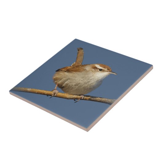 木の上の奇妙なコショウ タイル (側面)