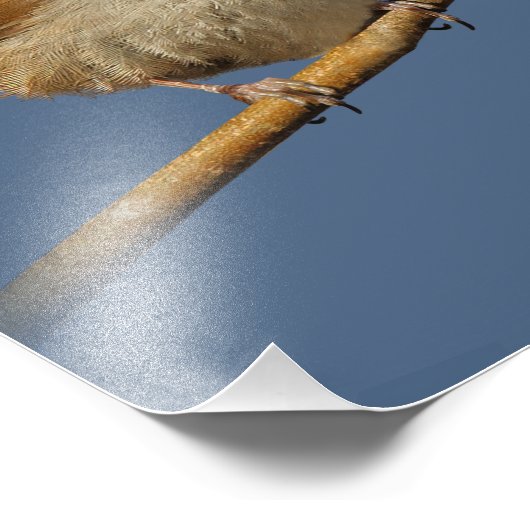 木の上の奇妙なコショウ フォトプリント (角)