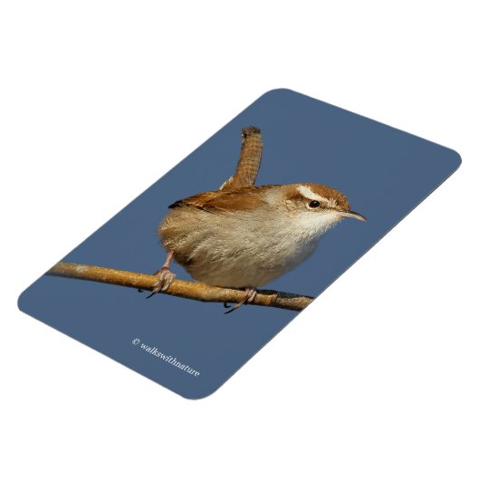 木の上の奇妙なコショウ マグネット (左側)