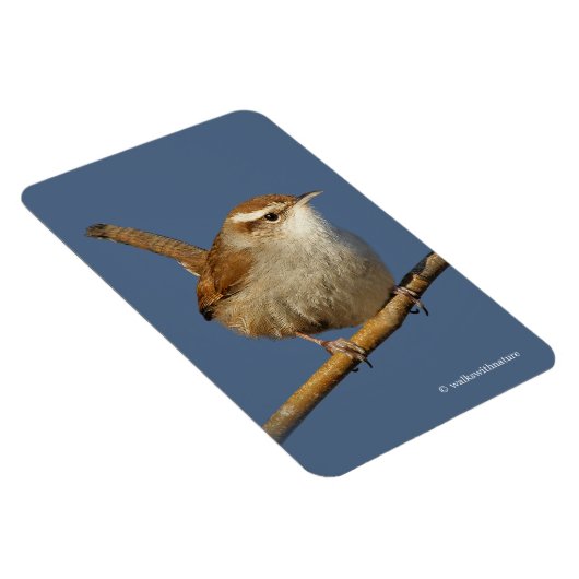 木の上の奇妙なコショウ マグネット (右側)