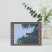 木の上の幸せなサルの誕生日ポストカード ポストカード (スタンド正面)