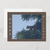 木の上の幸せなサルの誕生日ポストカード ポストカード (正面/裏面)