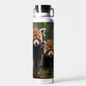 「木の上の探検家：ベビーレッドパンドラ(PANDAS) ウォーターボトル (背面)