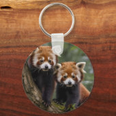 「木の上の探検家:ベビーレッドパンドラ(PANDAS) キーホルダー (正面)