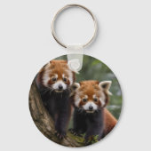 「木の上の探検家:ベビーレッドパンドラ(PANDAS) キーホルダー (裏面)