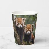 「木の上の探検家：ベビーレッドパンドラ(PANDAS) 紙コップ (裏面)