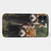 「木の上の探検家:ベビーレッドパンドラ(PANDAS) Case-Mate iPhoneケース (裏面(横))