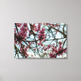 木の上の春の花 キャンバスプリント