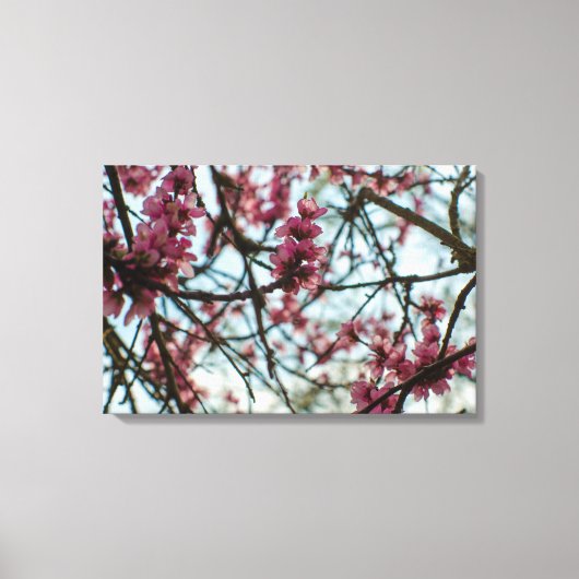 木の上の春の花 キャンバスプリント (正面)