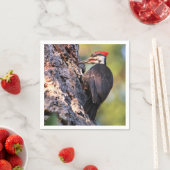 木の上の美しいパイレーテッドウッドペッカー スタンダードカクテルナプキン (インサイチュ)