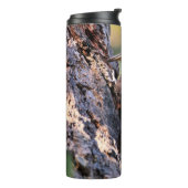 木の上の美しいパイレーテッドウッドペッカー タンブラー (回転左)