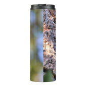 木の上の美しいパイレーテッドウッドペッカー タンブラー (裏面)