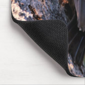 木の上の美しいパイレーテッドウッドペッカー マウスパッド (コーナー)