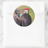 木の上の美しいパイレーテッドウッドペッカー ラウンドシール (バッグ)