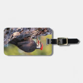 木の上の美しいパイレーテッドウッドペッカー ラゲッジタグ (正面横)