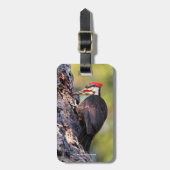 木の上の美しいパイレーテッドウッドペッカー ラゲッジタグ (正面縦)