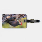 木の上の美しいパイレーテッドウッドペッカー ラゲッジタグ (裏面横)