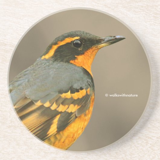 木の上の美しい多様なツグミの鳴き鳥 コースター (正面)