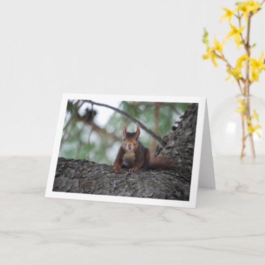 木の上の赤いリス カード (黄色い花)