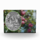 木の上の赤りんご絵を描自分を追加 フォトブロック (正面)