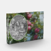 木の上の赤りんご絵を描自分を追加 フォトブロック (左)