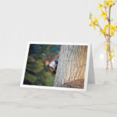 木の上の赤リス カード (黄色い花)