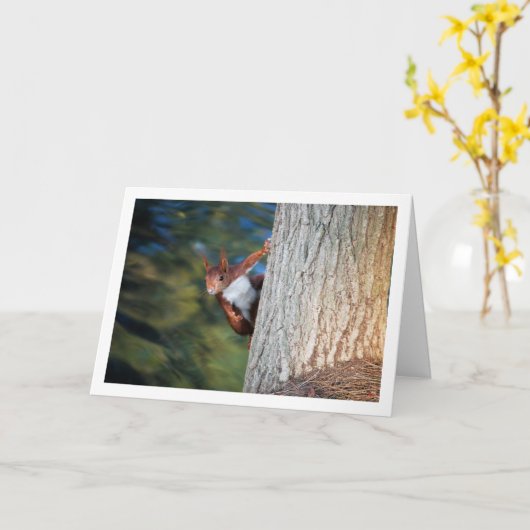 木の上の赤リス カード (黄色い花)