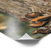 木の上の野生のキノコ10x8自然 フォトプリント            (角)