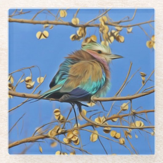 木の上の鳥の写真 ガラスコースター (正面)